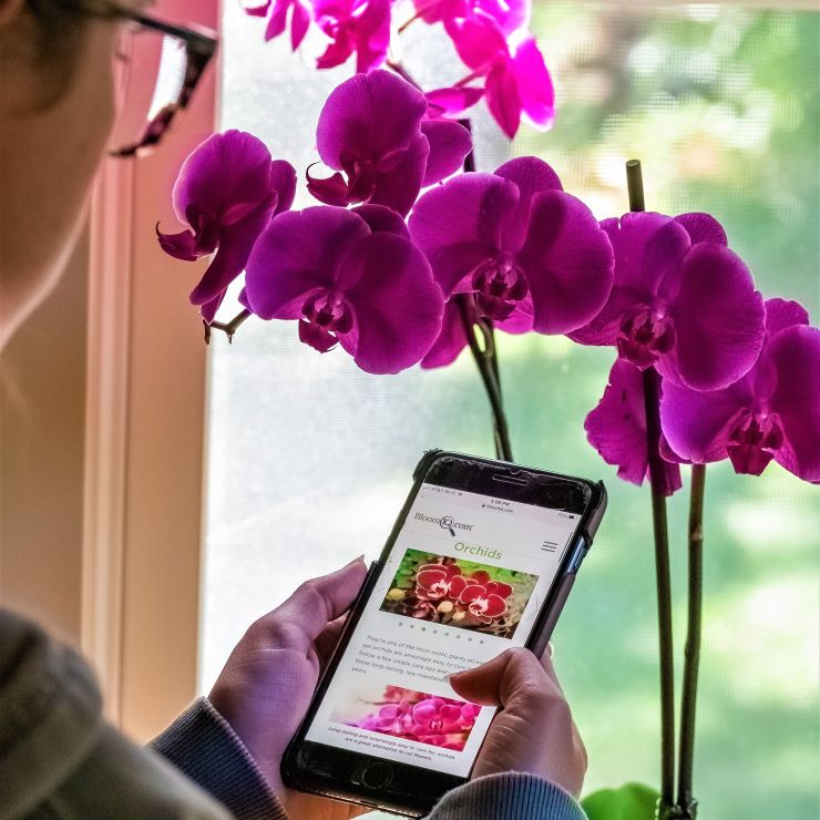 QR Code Plant Labels